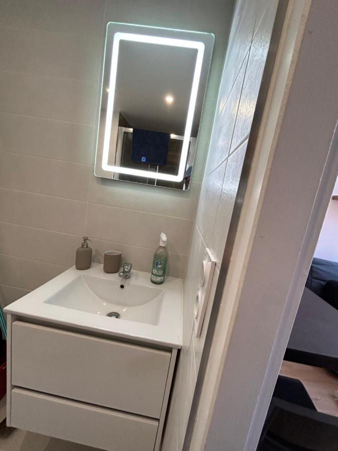Apartament Le Cygne Blanc Tuluza Zewnętrze zdjęcie